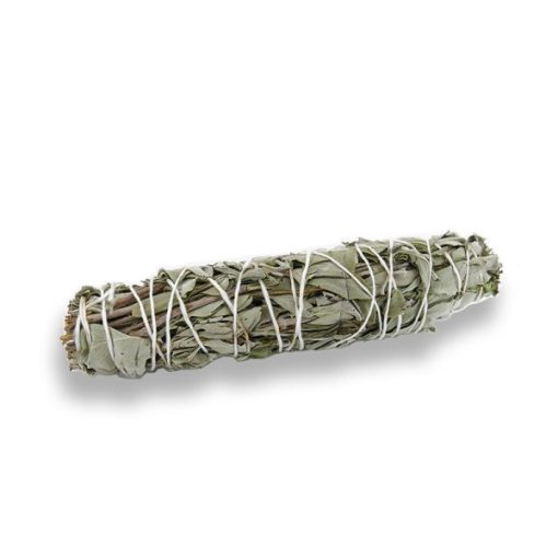 Salvia Officinalis