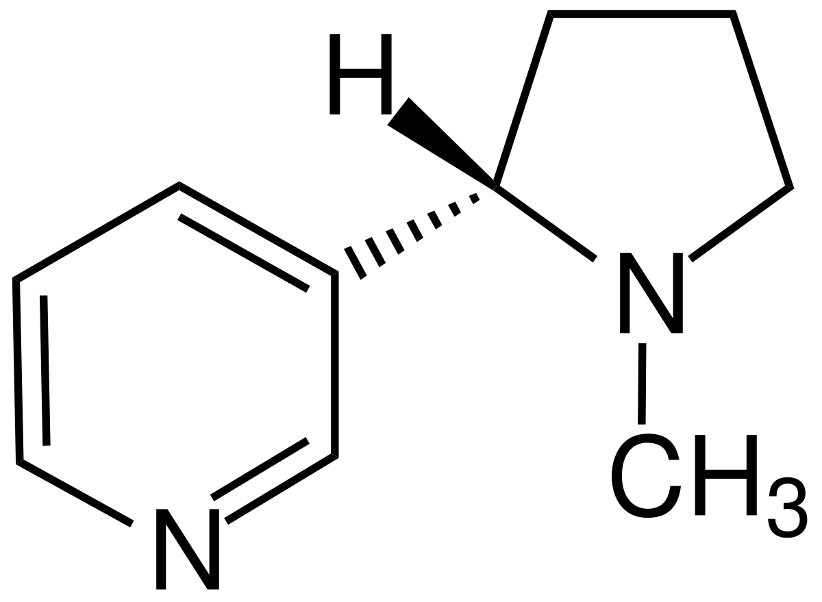Nicotinemolecuul