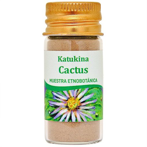Kaktus