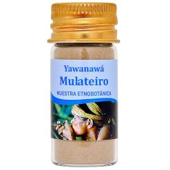 Mulateiro