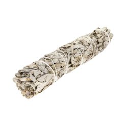 Salvia Grande